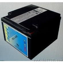 美国海志蓄电池HZB12-100