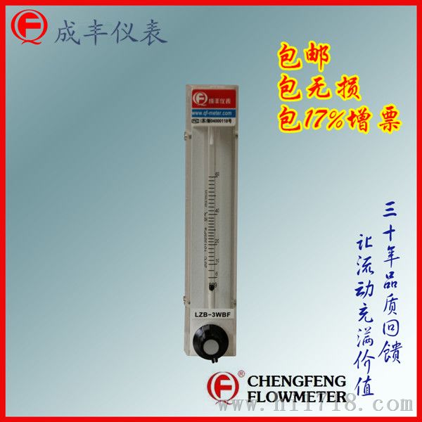 成丰玻璃转子流量计