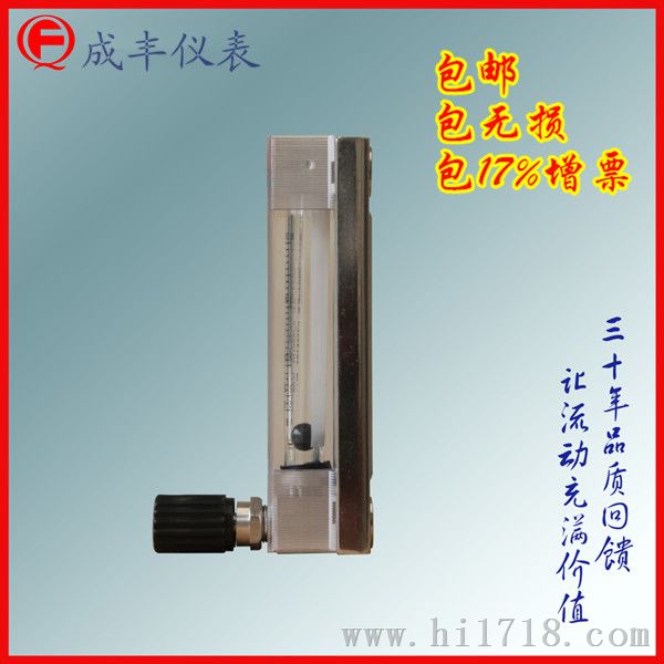 常州成丰玻璃转子流量计