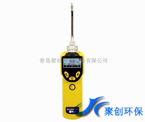 美国华瑞PGM-73X0 系列VOC检测仪