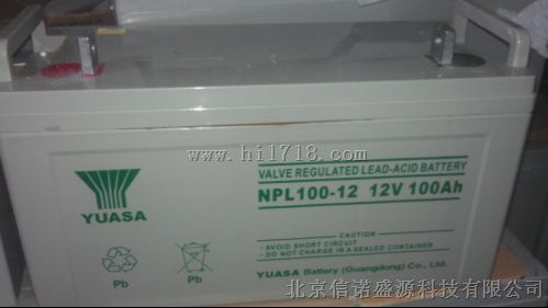 汤浅蓄电池 NPL100-12/12V100Ah