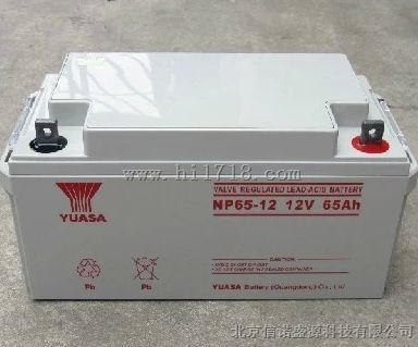 汤浅蓄电池 NP65-12/12V65Ah