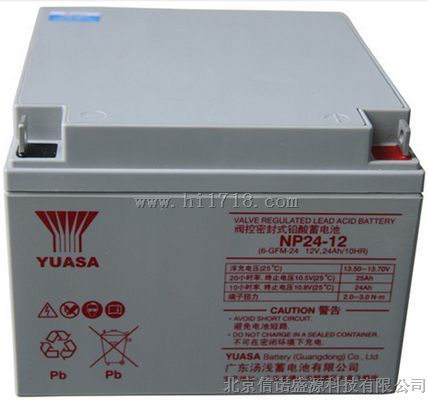 汤浅蓄电池 NP24-12/12V24Ah